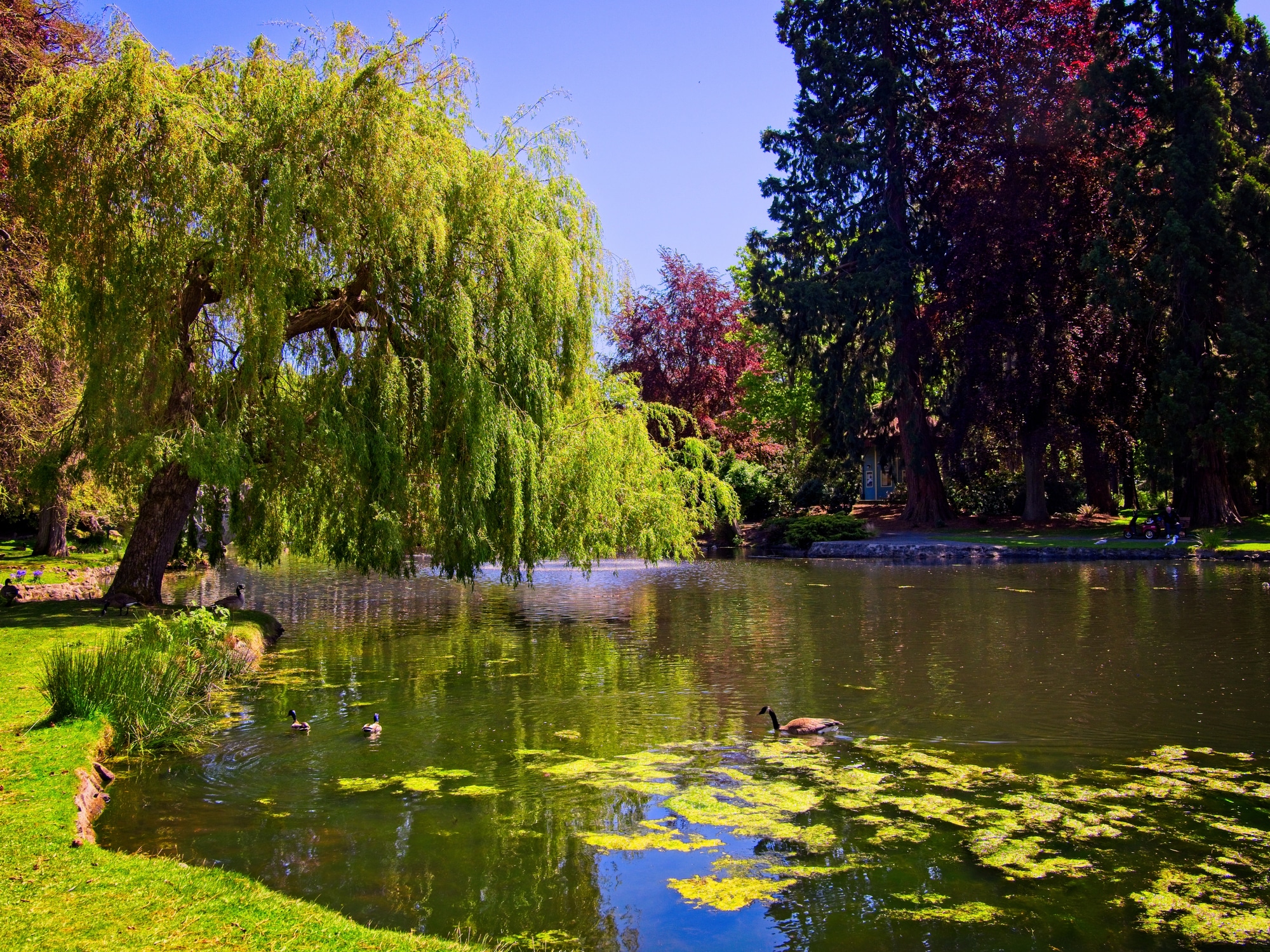 galavant-tours-full-day-city-tour-ally