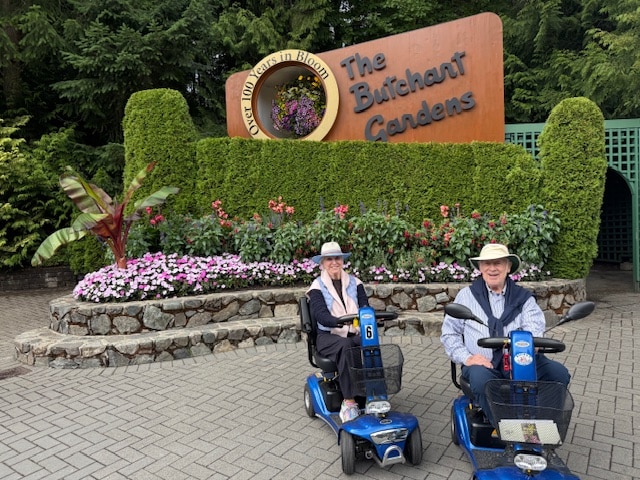 Pond surrounded by Willow tress and red flowers