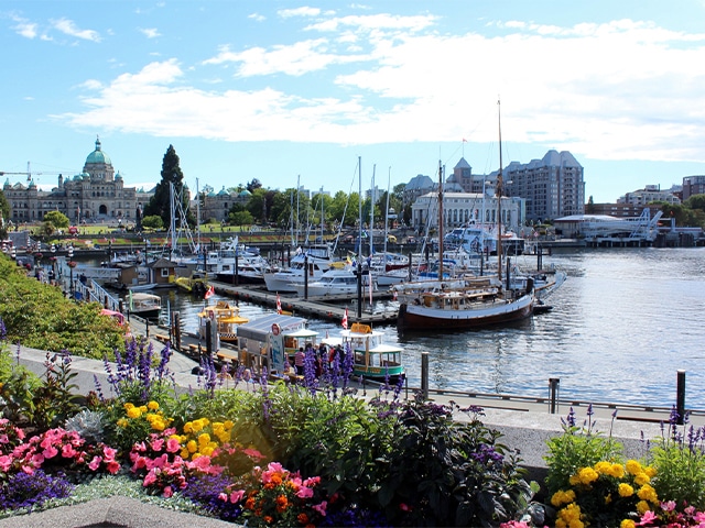Victoria Harbour lit at night with boats and buildings glowing