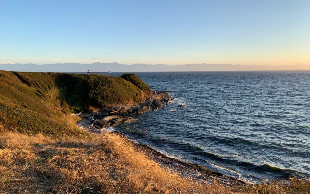 How to Plan the Perfect Day on Vancouver Island (Without Feeling Rushed)