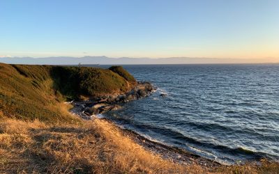 How to Plan the Perfect Day on Vancouver Island (Without Feeling Rushed)