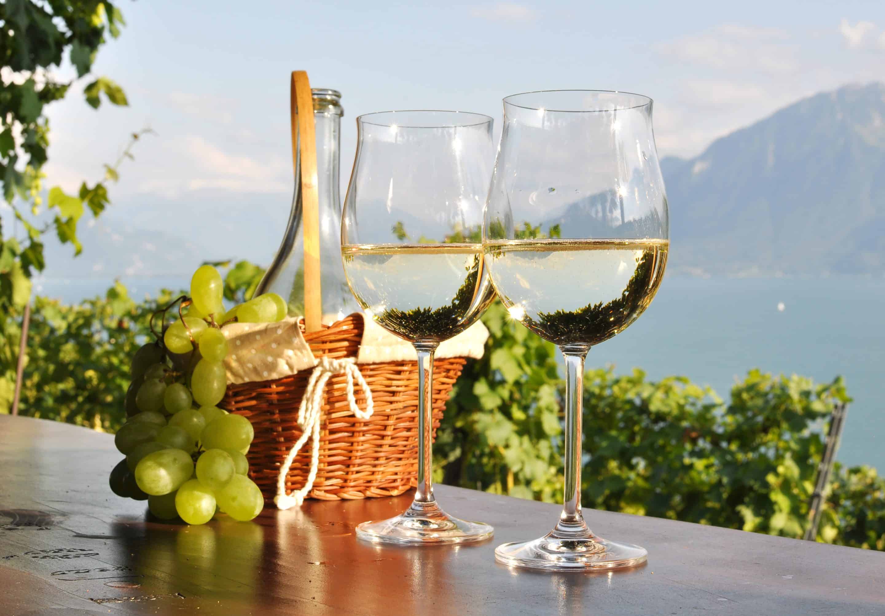 Two glasses of white wine on table with vineyard in background