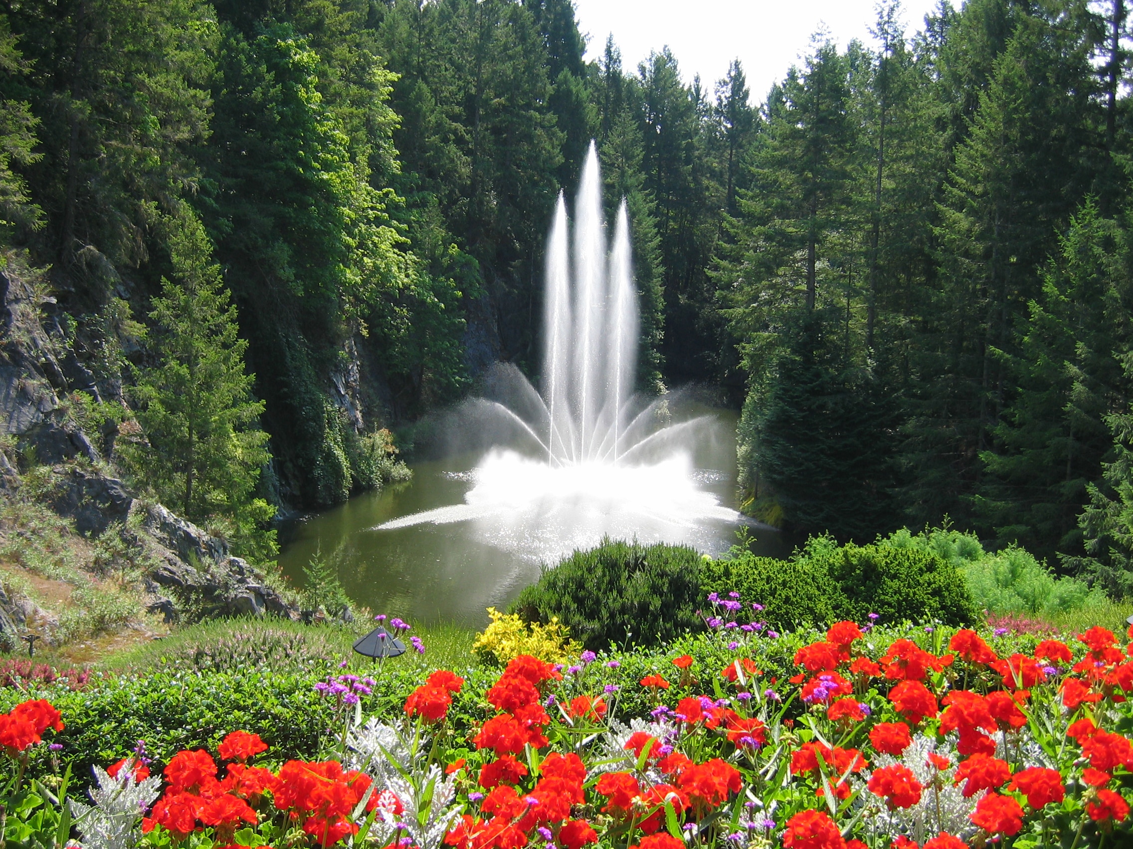 Water fountain surrounded by colourful flowers