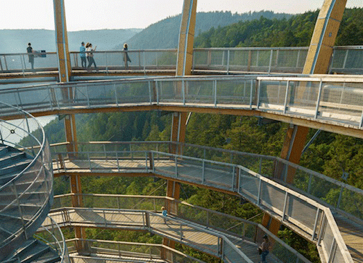 people enjoying the skywalk-malahat with the ocean and mountains in the backdrop